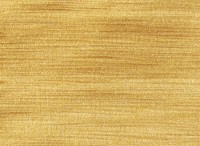 schining_2646_613.jpg