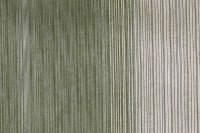 tristripe_2647_704.jpg