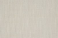velvet_stripe_14481_100.jpg