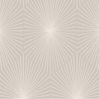 ASTRA_MORNING-STAR(SR21-04)_24x24.jpg