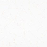 COSTA_WARBLER(CT21-03)_KOROSEAL.jpg