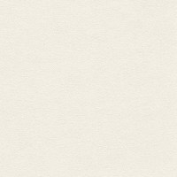 ENIGMA_FLAX(E922-06)_KOROSEAL.jpg