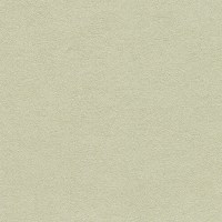 ENIGMA_LARKSPUR(E922-05)_KOROSEAL.jpg