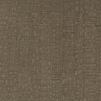 ILLUSIVE-TREE_LIZARD(LSV1-14).jpg