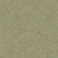 c521-84.jpg