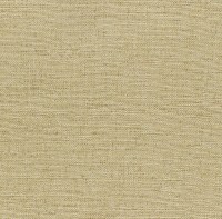 insight_champagne(6322-52).jpg