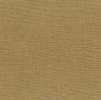 insight_gilt(6322-55).jpg