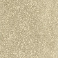 u421-37.jpg