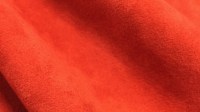 0257_92.jpg
