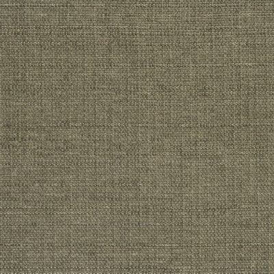 designers_guild_f2021-09.jpg