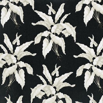 equipo-drt_17981.jpg
