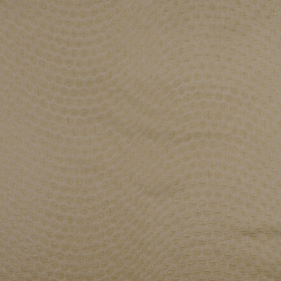 nobilis_10258-87.jpg