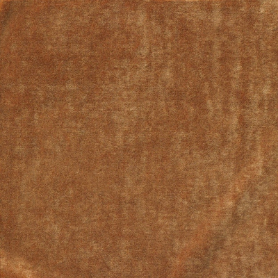 nobilis_10505-55.jpg