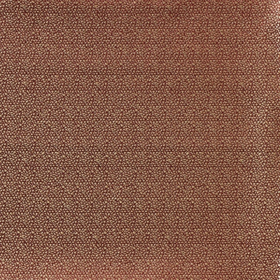nobilis_10512-53.jpg