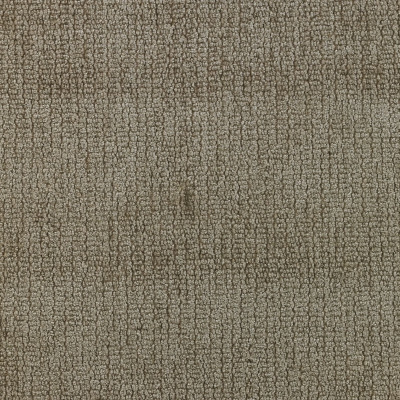 nobilis_10396-14.jpg