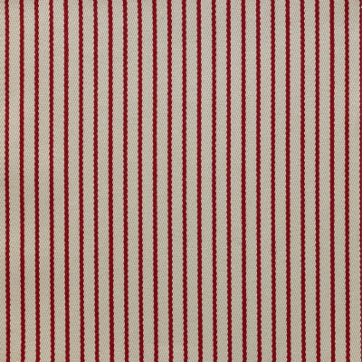 nobilis_10425-50.jpg