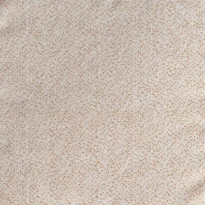 nobilis_10565-03.jpg