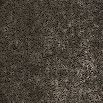 nobilis_10565-73.jpg
