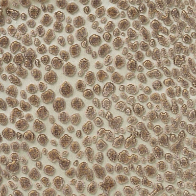 nobilis_10570-02.jpg