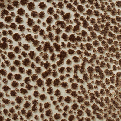 nobilis_10570-14.jpg
