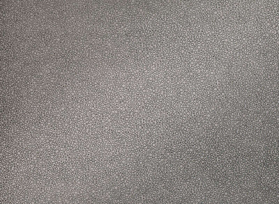 zinc_zw121-03.jpg