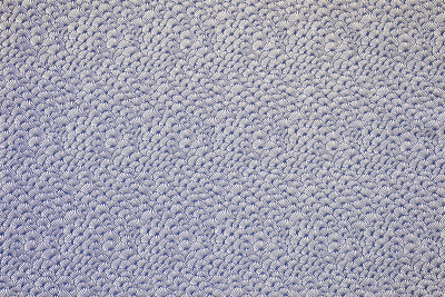 13457-15.jpg