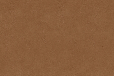 5241-50.jpg
