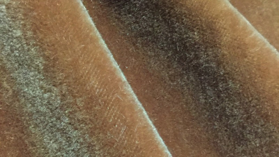 0379_40.jpg