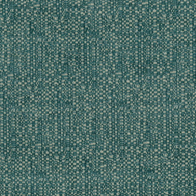ncf4310-04.jpg
