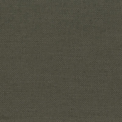 ncf4312-07.jpg
