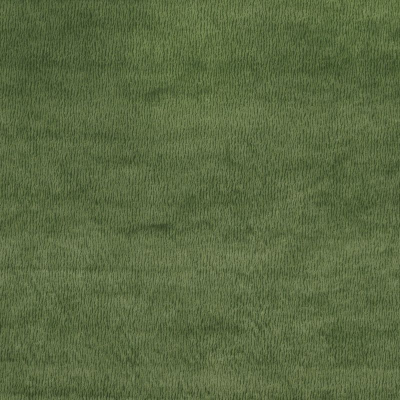ncf4314-04.jpg
