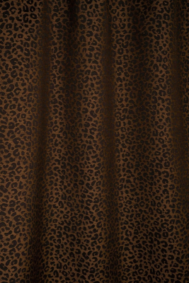 4031_06.jpg