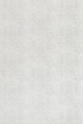 w7970-04.jpg