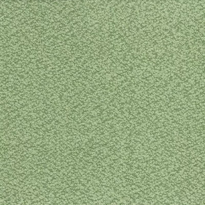 ncf4451-05.jpg