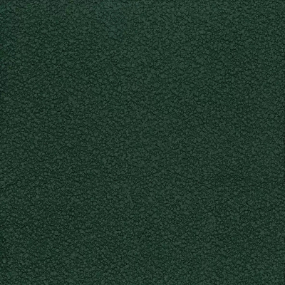 ncf4451-06.jpg