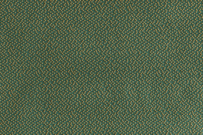 elani_14669_flat_904_web_1.jpg