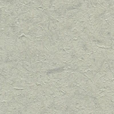 C521-81.jpg