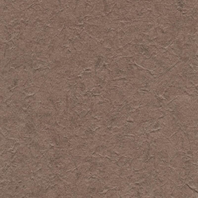c521-41.jpg