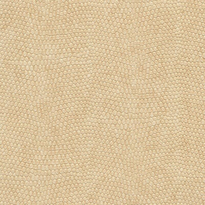 2n21-18.jpg