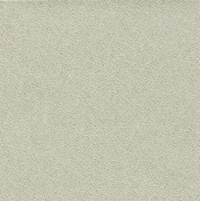 2D21-80.jpg