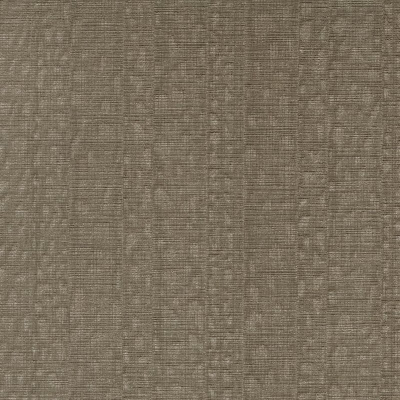 ILLUSIVE-KATYDID(LSV1-10).jpg