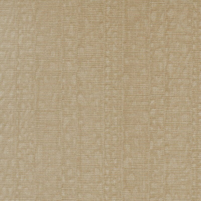 ILLUSIVE-LEOPARD(LSV1-05).jpg