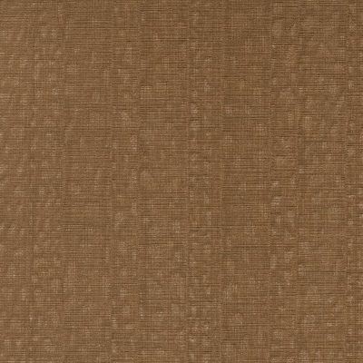 ILLUSIVE-TIGER(LSV1-13).jpg