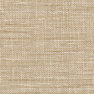 RAMIE_JUTE(8221-11).jpg