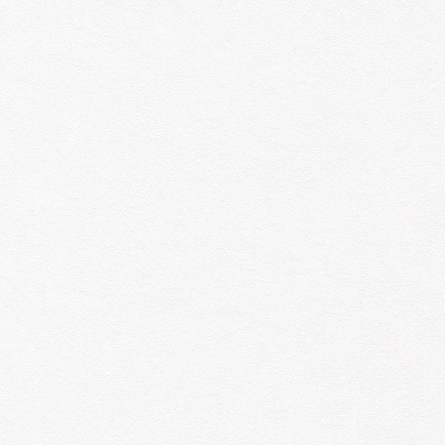ENIGMA_SNOWY(E922-01)_KOROSEAL.jpg