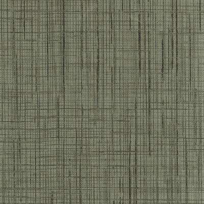 LINEAGE-II_ROOTS(9522-08).jpg