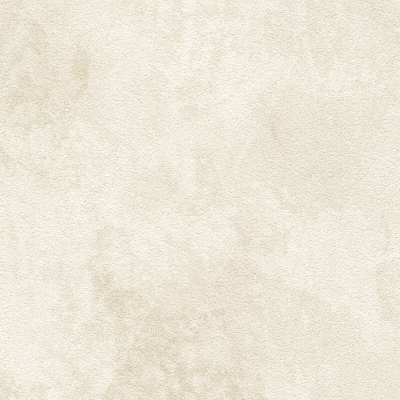 ARID_CELESTIAL(DA21-09).jpg